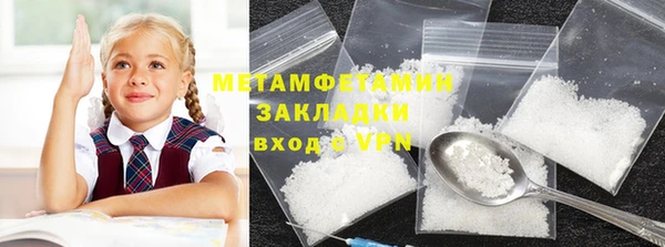 прущие грибы Дмитриев