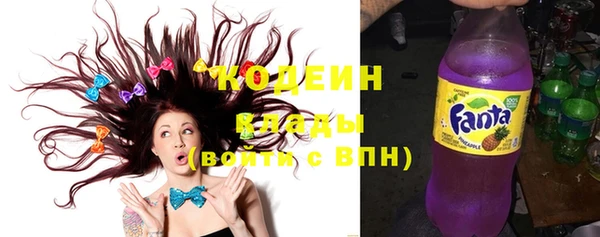 прущие грибы Дмитровск