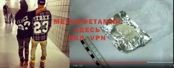 прущие грибы Дмитриев