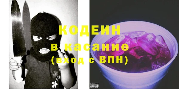 прущие грибы Дмитриев
