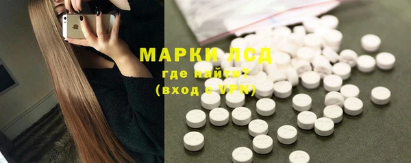прущие грибы Дмитриев
