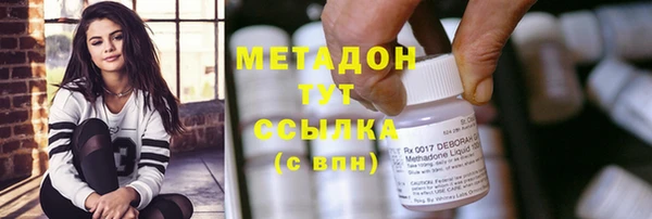 прущие грибы Дмитриев
