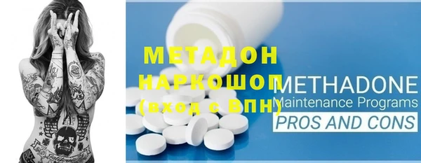 прущие грибы Дмитровск