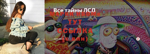 прущие грибы Дмитровск