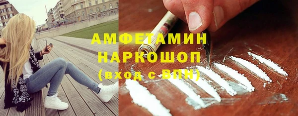 прущие грибы Дмитриев