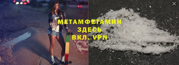 прущие грибы Дмитровск