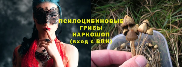 прущие грибы Дмитриев