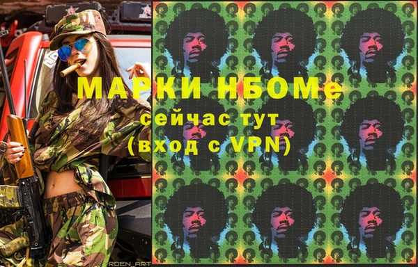 прущие грибы Дмитриев