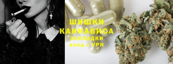 прущие грибы Дмитриев