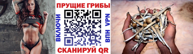 Купить где  Кировск  Псилоцибиновые грибы прущие грибы 